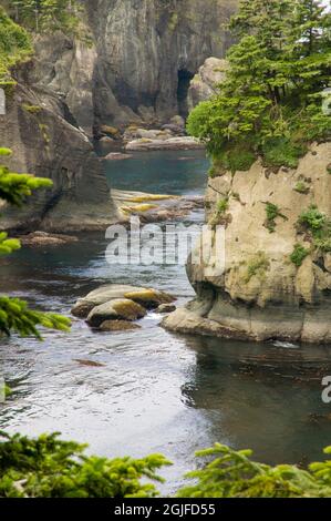 Makah Indianerreservat in der Nähe von Neah Bay, Washington, USA. Blick auf den Pazifischen Ozean vom Cape Flattery Trail. Stockfoto