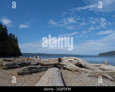 USA, Washington State, Tacoma, Point Defiance Park, Treibholz am Strand Stockfoto