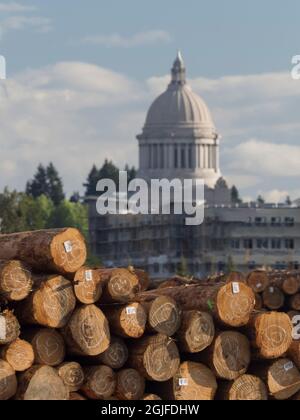 USA, Washington State, Olympia, Stapel von Baumstämmen im Hafen von Seattle, mit Washington State Capitol in der Ferne Stockfoto