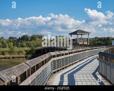 Usa, Washington State, Olympia. Billy Frank Jr. Nisqually National Wildlife Refuge. Promenade über Feuchtgebiete. Stockfoto