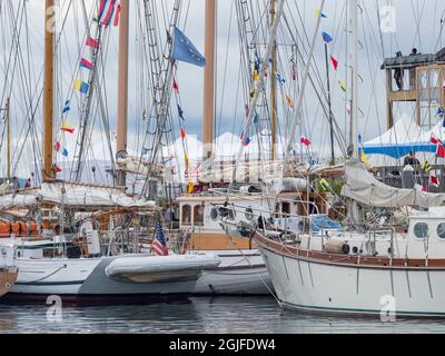 Usa, Staat Washington, Port Townsend. Segelboote dockten in der Marina während des Port Townsend Wooden Boat Festivals an, das jährlich im September stattfindet. Stockfoto