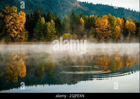 USA, Staat Washington, Cle Elum. Herbstfarbe an einem Teich in Zentral-Washington. Stockfoto