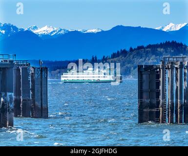 Washington State Ferry Olympic Mountains, Edmonds, Washington State. Die Fähre verlässt den Hafen am Puget Sound. Stockfoto