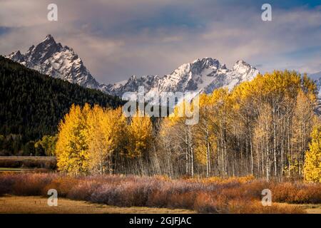 Herbstansicht des Mt. Moran aus Oxbow Bend, Grand Teton National Park, Wyoming Stockfoto