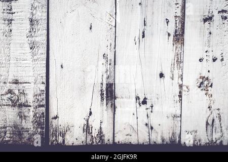 Grunge Hintergrund. Abblätternde Farbe auf einem alten Holz. weiße Farbe. Vintage Style Dekoration Konzept Idee Stockfoto