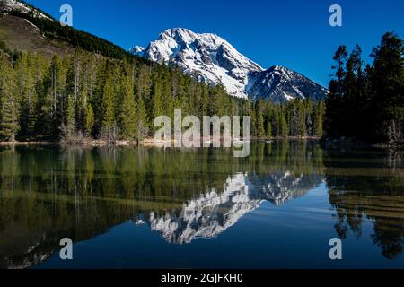 Mount Moran spiegelt sich in String Lake, Grand Teton National Park, Wyoming, wider Stockfoto