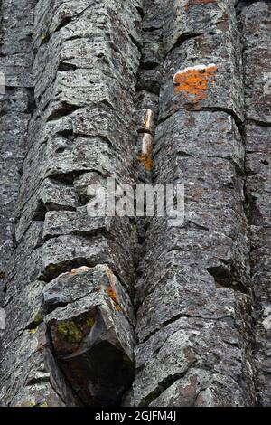 USA, Wyoming. Sheepeater Cliffs Detail, Yellowstone National Park. Stockfoto