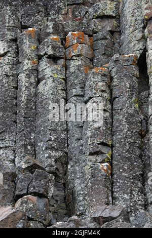 USA, Wyoming. Sheepeater Cliffs Detail, Yellowstone National Park. Stockfoto