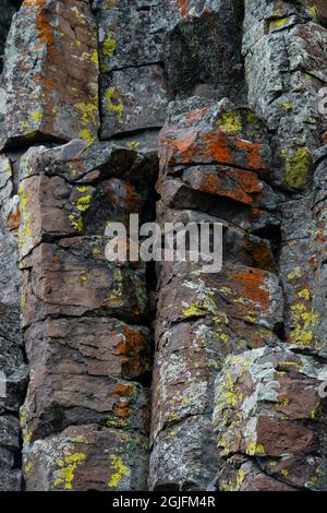 USA, Wyoming. Sheepeater Cliffs Detail, Yellowstone National Park. Stockfoto