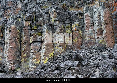 USA, Wyoming. Sheepeater Cliffs Detail, Yellowstone National Park. Stockfoto