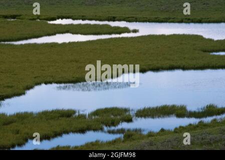 USA, Wyoming. Hayden Valley, Yellowstone River Yellowstone National Park. Stockfoto