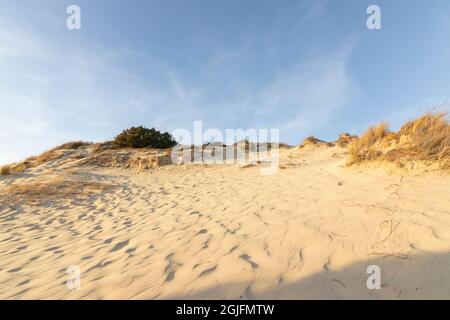„Doñana“ ist ein spanisches Naturschutzgebiet in den Provinzen Huelva, Sevilla und Cádáz, Andalusien, Stockfoto