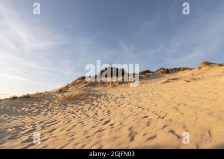 „Doñana“ ist ein spanisches Naturschutzgebiet in den Provinzen Huelva, Sevilla und Cádáz, Andalusien, Stockfoto