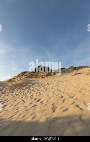 „Doñana“ ist ein spanisches Naturschutzgebiet in den Provinzen Huelva, Sevilla und Cádáz, Andalusien, Stockfoto