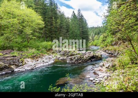 Molton Falls Regional Park, Yacolt, Washington, USA. Felsiger Kanal des East Fork Lewis River. Stockfoto