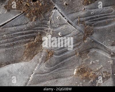 Tiefkühltruhe - abstrakte Eismuster, die von der Natur in gefrorener Hochland-Pfütze im Winter - Cumbria, England, UK Stockfoto