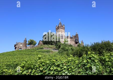 Blick auf das Schloss Cochem, umgeben von Weinbergen. Stockfoto