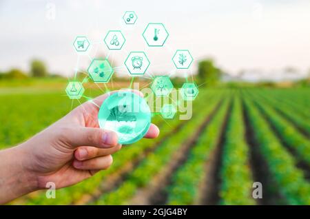Einen Globus mit Innovationen auf dem Feld Bauernhof Hintergrund halten. Einsatz innovativer Technologien in der Landwirtschaft. Internet der Dinge und Industrie digitalizati Stockfoto