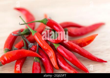 Stapel von rotem scharfem Chilischoten auf Holzbrett. Zutat kochen, Nahaufnahme. Stockfoto