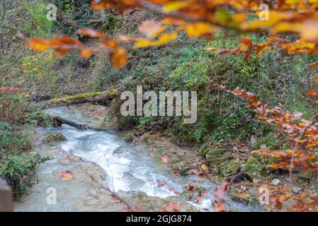Nahaufnahme eines Wasserlaufs mitten in einem Wald mit rötlichen Blättern im Herbst. Stockfoto
