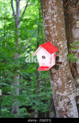 Handgemachtes Vogelhaus aus Holz im Wald Stockfoto