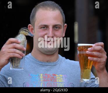 EIN PINT LAGER UND ENTE BITTE. PUB-STAMMGAST JACK TRAVIS MIT EINEM PINT GROSSEN ENTCHEN IM SCHWEIZER COTTAGE PUB, SHOREHAM, WEST SUSSEX. PIC MIKE WALKER, 2009 Stockfoto