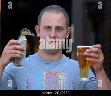 EIN PINT LAGER UND ENTE BITTE. PUB-STAMMGAST JACK TRAVIS MIT EINEM PINT GROSSEN ENTCHEN IM SCHWEIZER COTTAGE PUB, SHOREHAM, WEST SUSSEX. PIC MIKE WALKER, 2009 Stockfoto