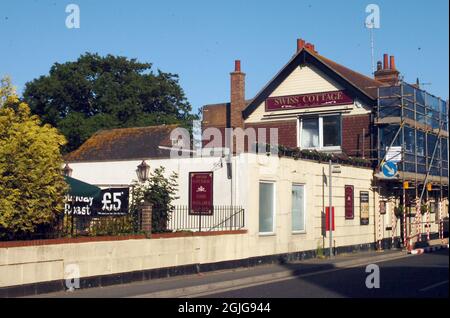 IM SCHWEIZER COTTAGE PUB IN SHOREHAM, WEST SUSSEX, LEBEN ÜBER 80 ENTEN, VON DENEN VIELE DIE BAR VON ZEIT ZU ZEIT BESUCHEN. PIC MIKE WALKER, 2009 Stockfoto