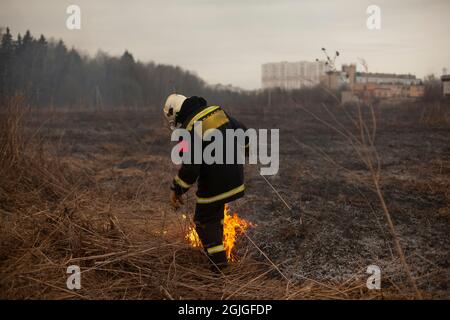 Ein Feuerwehrmann löscht trockenes Gras. Ein Feuerwehrmann bekämpft ein Feuer in einem offenen Bereich. Rettungsaktionen gegen Flammen. Ein ökologischer Katastrophenbrand Stockfoto