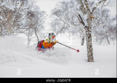 Ein männlicher Skifahrer in tiefem Pulverschnee abseits der Piste in der Nähe der Stadt Niseko in der Unterpräfektur Shiribeshi, Hokkaido, Japan. Stockfoto