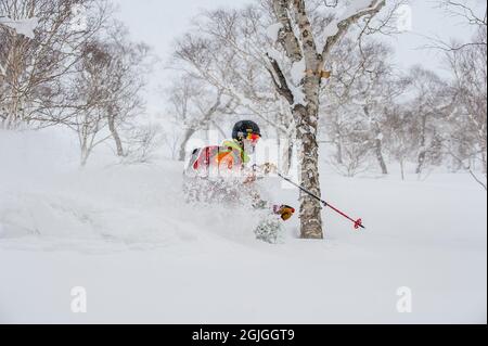 Ein männlicher Skifahrer in tiefem Pulverschnee abseits der Piste in der Nähe der Stadt Niseko in der Unterpräfektur Shiribeshi, Hokkaido, Japan. Stockfoto