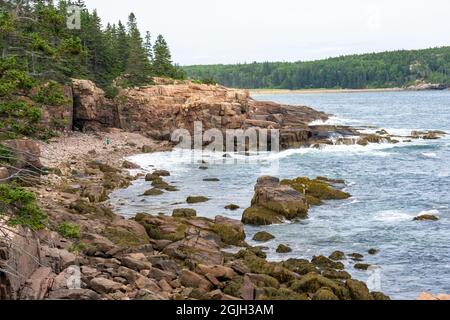 Acadia National Park, Maine, USA. Küstenlinie in der Nähe von Thunder Hole. Stockfoto