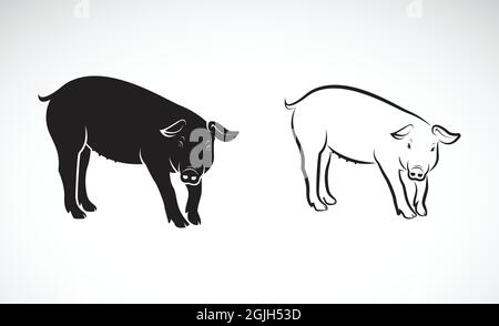 Vektor eines Schweins auf weißem Hintergrund. Nutztiere. Vektorgrafik. Leicht editierbare Vektorgrafik mit Ebenen. Stock Vektor