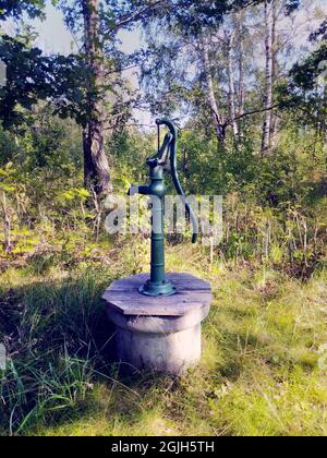 Eine altmodische, handbetriebene Wasserpumpe in einem Garten. Stockfoto