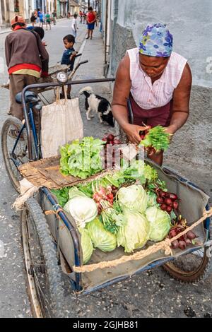 Kubanische Dame, die Gemüse von einem Wagen auf der Straße verkauft, Sancti Spiritus, Kuba Stockfoto