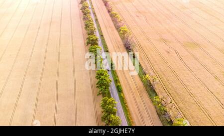 Drohne, die bei Sonnenuntergang über der Straße zwischen Weizenfeldern fliegt. Stockfoto