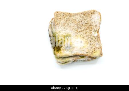 Flaches Lay von altem Brot, das voll von Brotform ist, Close up das schimmelige Brot auf weißem Hintergrund. Stockfoto