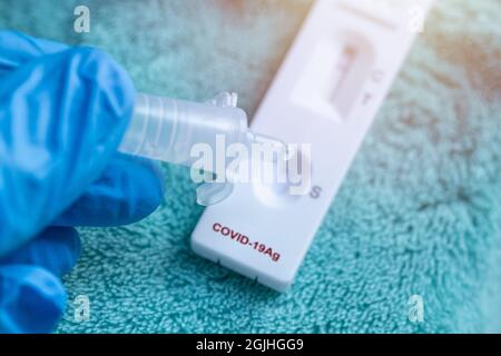 Mit dem Covid-19 Rapid Antigent Test Kit Verfahren mit Tropfenlösung Flüssigkeit aus Nasopharyngealabstrich. Stockfoto