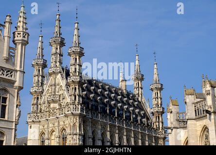 Prunkvolles Rathaus zwischen einem alten Hotel und der Peterskirche kurz nach Sonnenaufgang in Leuven, Belgien Stockfoto