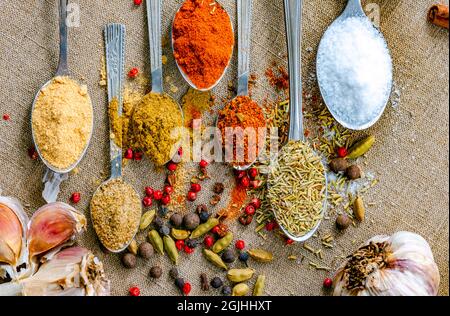 Ein Set verschiedener Kräuter und Gewürze Gewürze. Auswahl an Kräutern und Gewürzen in alten Metalllöffeln auf Holzboden. Rosmarin, Stockfoto