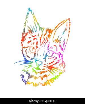 Der Kopf einer Katze. Mehrfarbige Schattierung. Handgefertigt. Vektorgrafik Stock Vektor