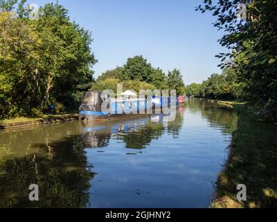 Narrowboats vertäuten im Sommer auf dem Grand Union Kanal, Weedon Bec, Northamptonshire, Großbritannien Stockfoto