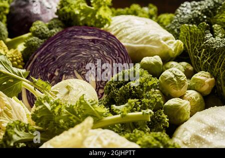 Vollformat Hintergrund von verschiedenen Arten von frischen Kohl auf der Theke des Lebensmittelbasars Stockfoto
