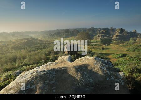 Dämmerungsnebel umgibt die Felsformationen von Brimahm Rocks in Nidderdale, North Yorkshire, Großbritannien Stockfoto