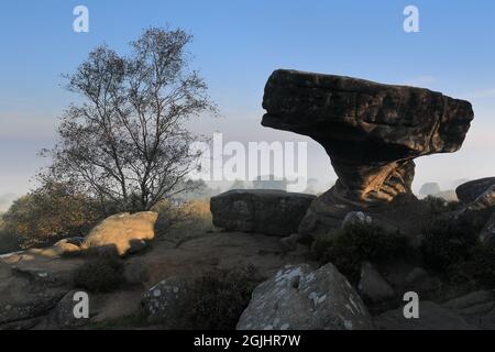 Felsformation bekannt als Druid's Writing Desk, bei Brimham Rocks in Nidderdale, North Yorkshire, Großbritannien Stockfoto