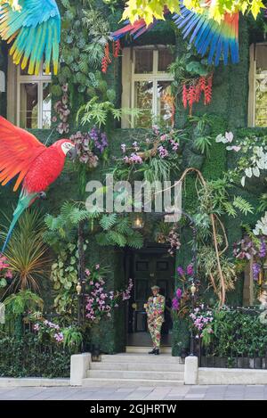 Farbenfrohe Dekoration mit Dschungelmotiven an der Fassade des Annabel-Mitgliedsclubs in Berkeley Square, Mayfair, London, England, Großbritannien Stockfoto