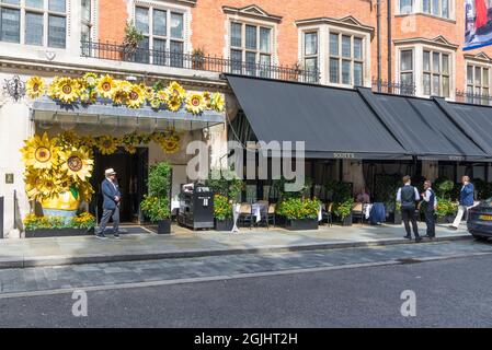 Farbenfrohe Außenansicht von Scott's, Fisch- und Fischrestaurant in Mount Street, Mayfair, London, England, Großbritannien Stockfoto