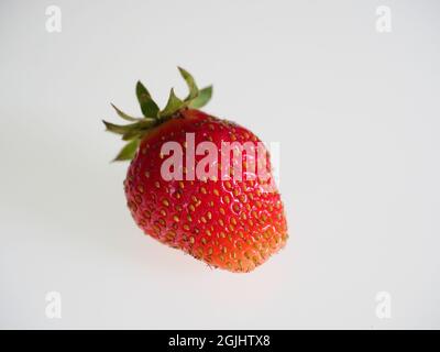 Eine einzelne gesunde bunte Erdbeere in näher auf weißem Hintergrund Stockfoto