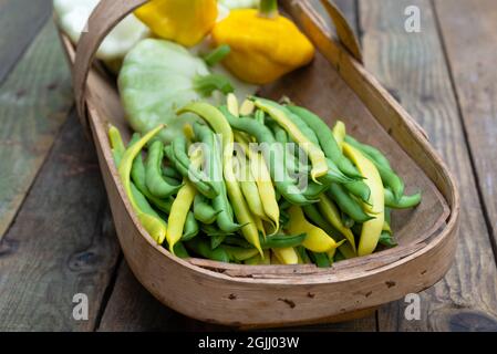 Ein Sussex Trug voller kletternder gelber und grüner französischer Bohnen und gelber und weißer Patty-Pan-Squash. Stockfoto