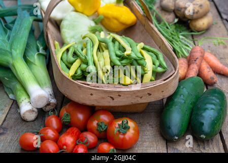 Frisch gepflücktes Gemüse in einem Sussex Trug und auf der Tischplatte. (Lauch, Patty Pan Squash, französische Bohnen, Karotten, Gurken, Kartoffeln, Tomaten). England, Stockfoto